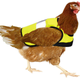 Illustration for article titled High Visibility Road Vests For Chickens Now Exist